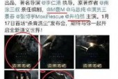 国产曰逼,曰逼时代的艺术探索