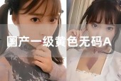 国产有码在线播放
